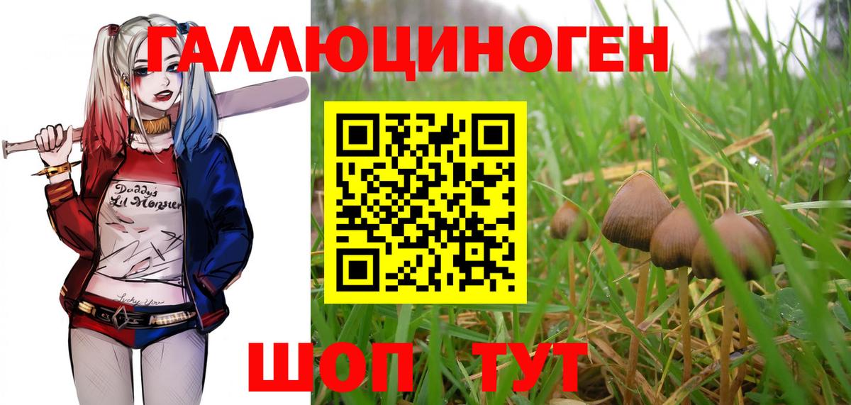Псилоцибиновые грибы ЛСД Балабаново