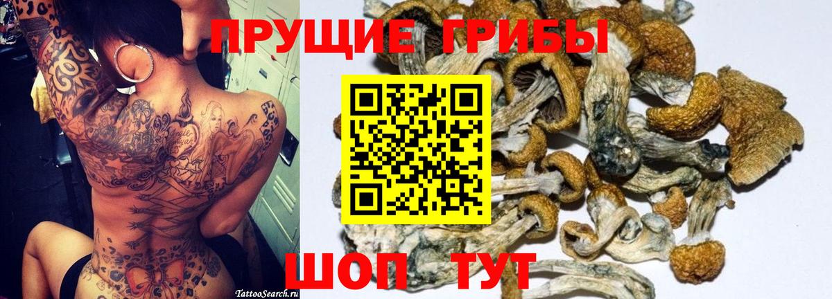 Балабаново  Псилоцибиновые грибы MAGIC MUSHROOMS  Вход с VPN 